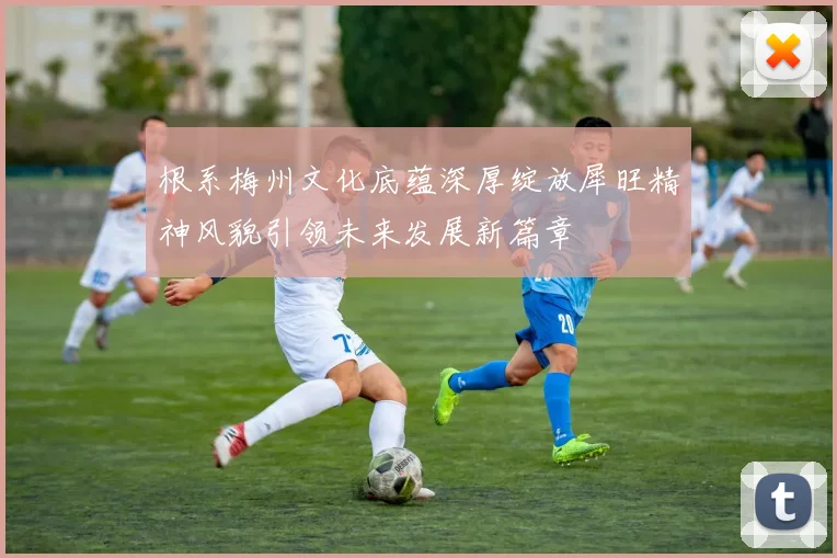根系梅州文化底蕴深厚绽放犀旺精神风貌引领未来发展新篇章